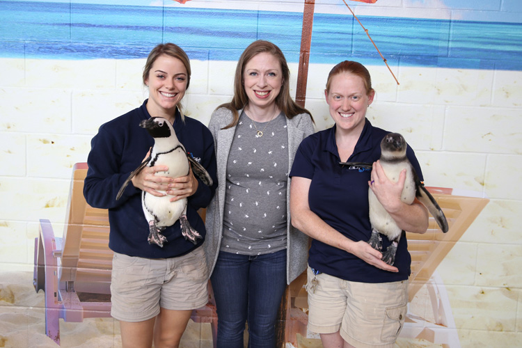 Chelsea Clinton with Penguins at OdySea Aquarium